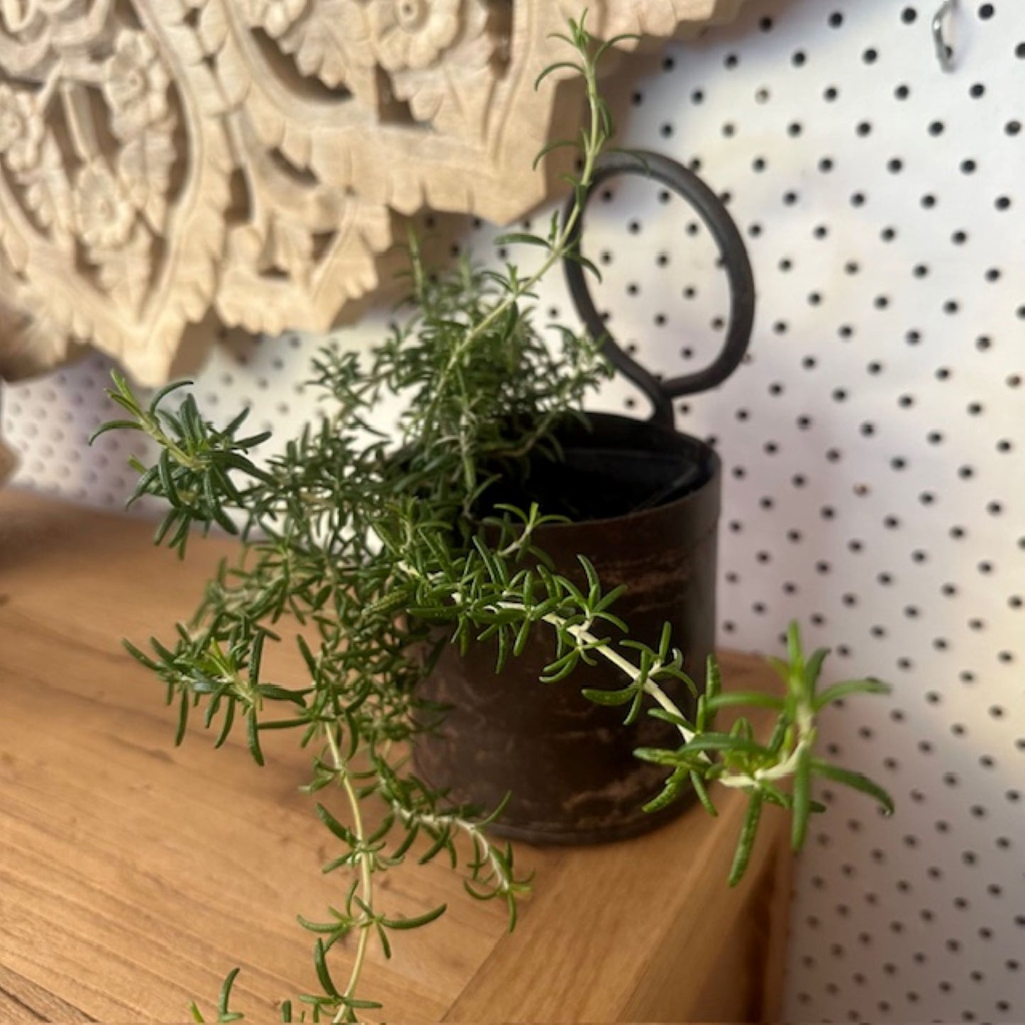 Hanging Reclaimed Iron Herb Pot