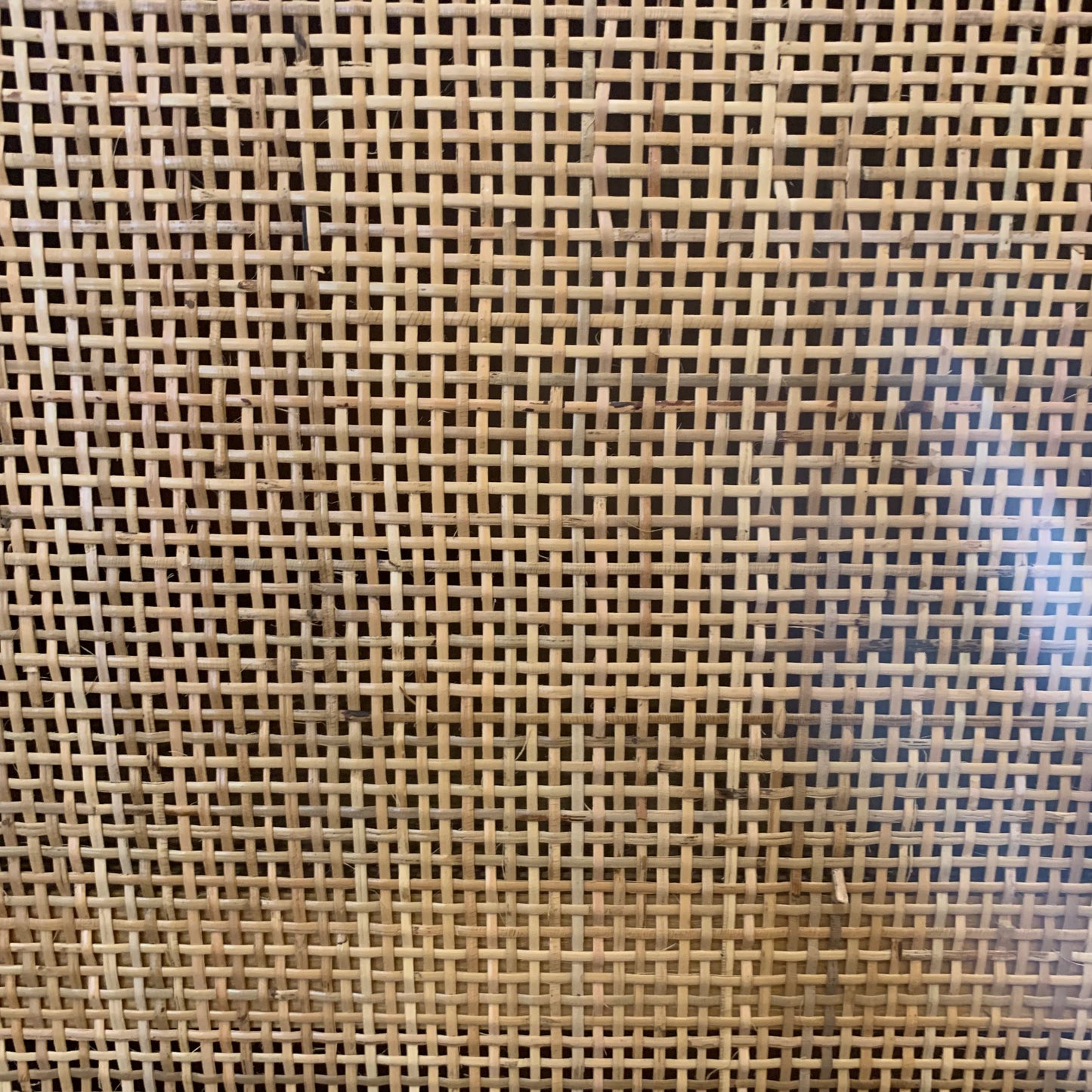 Teak and Rattan 2 Door Cabinet
