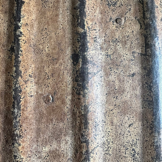 Vintage Indian Iron Travel Chest